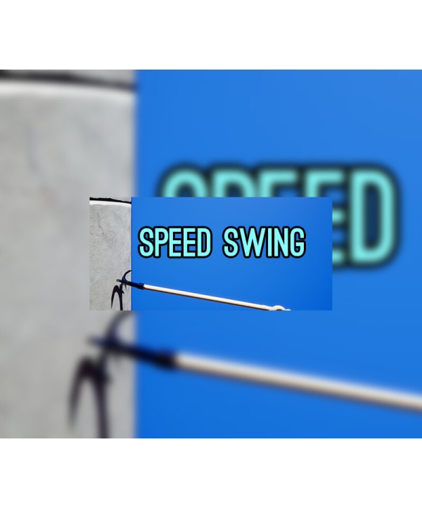 Speed Swing Steam Key GLOBAL